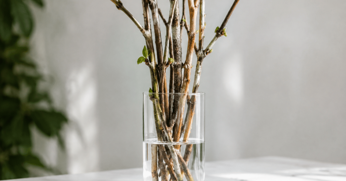 Branches naturelles disposees verticalement dans vase transparent clair